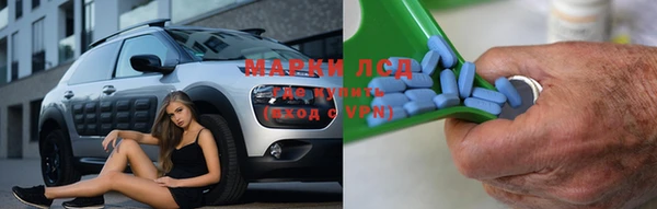 mdpv Гусев