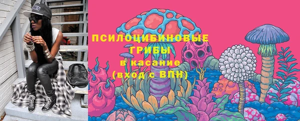 mdpv Гусев
