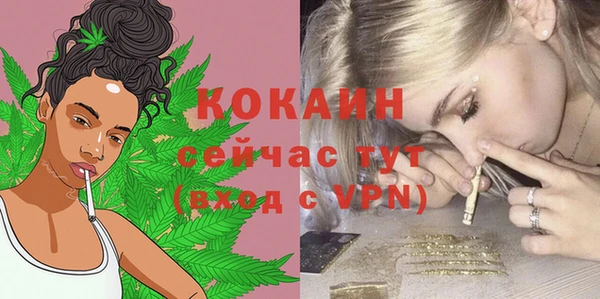 mdpv Гусев