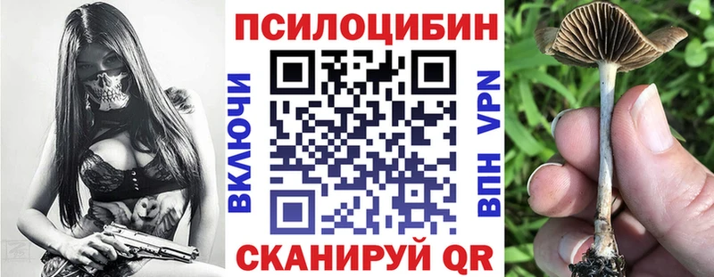 Галлюциногенные грибы ЛСД наркошоп Петровск-Забайкальский